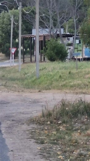 Motos y Baile: La Fusión Perfecta