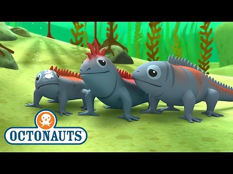 ‪@Octonauts‬ - The Marine Iguanas | Full Episode 41 | ‪@Kidzuko‬