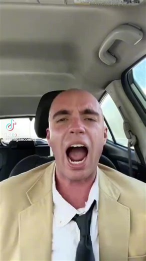 Exploring Object Show Animatic Battles