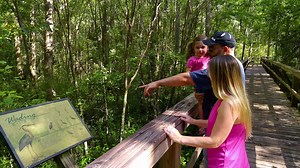 Bartow is a beautiful city rich with history and heritage - check it out! | Visit Central Florida