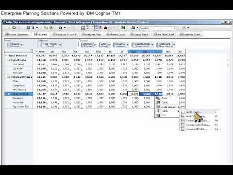 ND IBM Cognos TM1 Demo