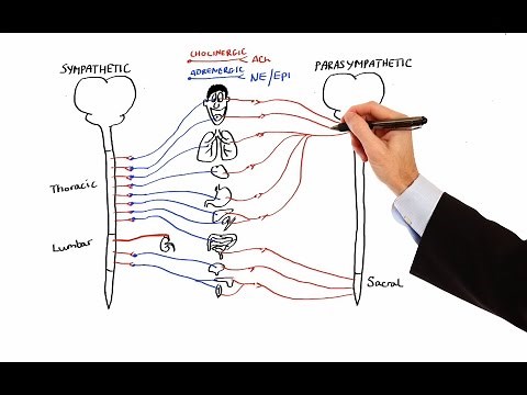 Pharmacology - AUTONOMIC NERVOUS SYSTEM (MADE EASY)