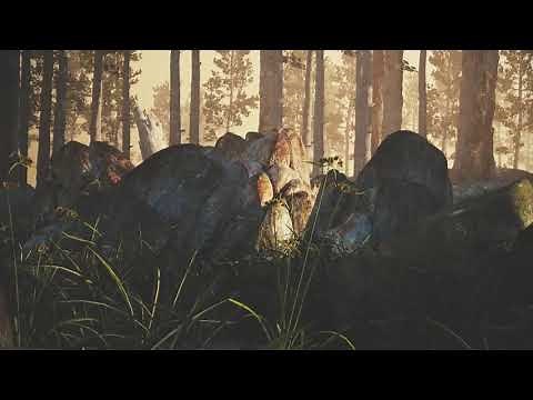 Emancipator - 'Labyrinth' - Full Video