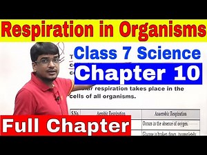 Class 7 Science Chapter 10 Respiration in Organisms [Full Chapter]