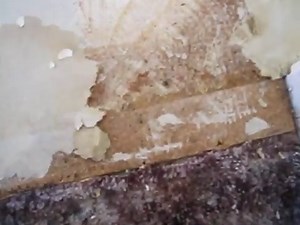 How to Remove Linoleum