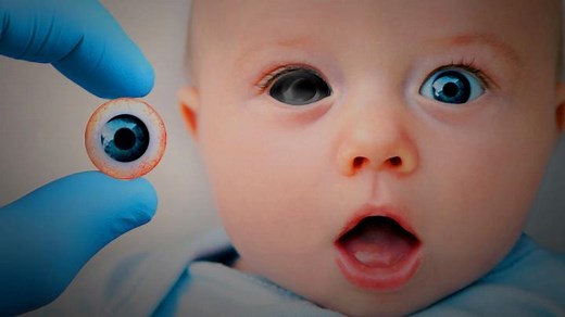 4.6K views · 79 reactions | From combating climate change, to curing disease, to creating designer babies, gene-editing technologies have the potential to transform lives. What risks do they pose? https://econ.st/3IAiD6R | The Economist | Facebook