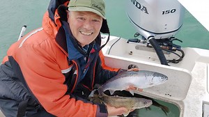 Walleye & steelhead using live bait (minnows)