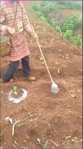 5.1M views · 30K reactions | Farming real fun | Kiana Products | Facebook