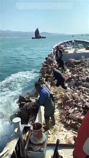 Polluting the Oceans: The Reckless Act of Dumping Boat Waste