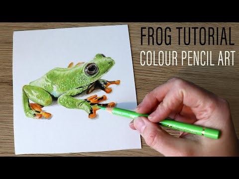 How to Draw a Frog in Colour Pencil – Beginner Tutorial for Smooth Blending