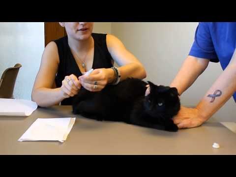 How to Administer a Twist-a-Dose Pen