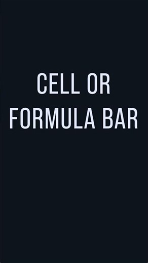 Type in the Cell or the Formula Bar