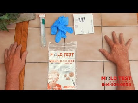 How Does a DIY Mold Test Work? | Instructions | Mold Test Company