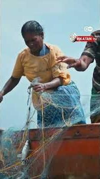"Why shouldn't we fish?" - The brave Queens of the sea; Fisherwomen proving their worth!