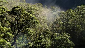 7.5K views · 216 reactions | Planet Earth: Amazing nature scenery (1080p HD) by Robert Revol | International Photography | Facebook