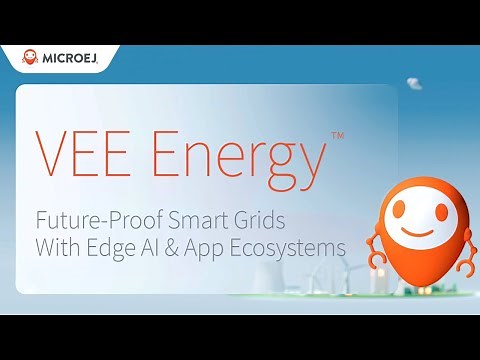 VEE Energy - Empowering Software-Defined Smart Meters with Edge AI and Grid Edge Intelligence