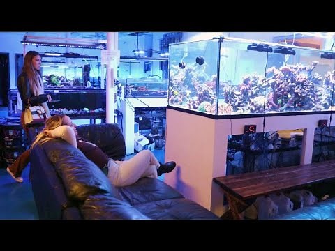 One Of USA's Best Saltwater Aquarium Stores: A Reef Creation (ARC)