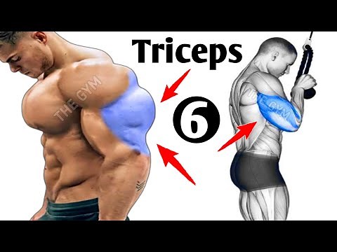 6 Best Exercises For Triceps - Triceps Workout