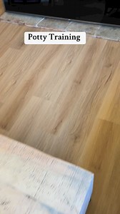 1K views | Teaching bunnies to free roam outside is a huge responsibility. If it makes you nervous, don’t attempt it, Your animal will sense and mirror your fear. If you don’t think your yard is safe, it’s probably not. I start with supervised outdoor time. If your bunnies stay close to you for long periods of times, I slowly start transitioning to outdoor free roaming. | Rabbit Pals | Facebook