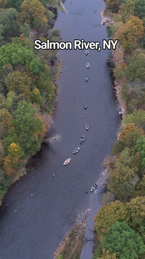 Salmon Run at Salmon River Fish Hatchery, NY #CNY #fishing #fishingtrip #salmon #fishingislife #salmonfishing #fish #fishinglife #fisherman #pulaski #fishingdaily #salmonfish | Outdoors Cny