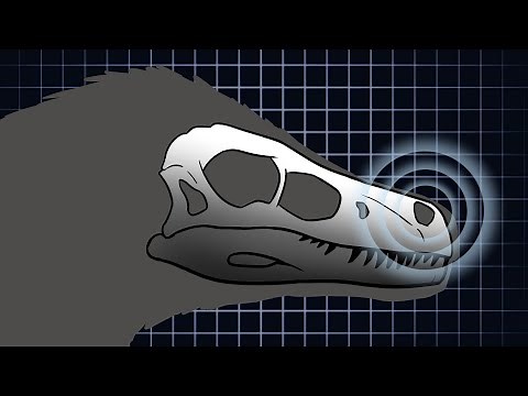 What did VELOCIRAPTOR sound like?
