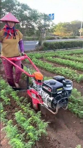 DIY Farming Soil Nutrition 🌱💪 | Boost Your Soil Naturally! #Shorts