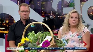 8.3K views | WATCH: City slickers will have a record number of places to try out farm life later this month as part of Alberta Open Farm Days. Tim Carson and Tennille Needham explain. EDITOR'S NOTE: Alberta Open Farm Days are held on Aug. 19 and 20. | Global Edmonton | Facebook