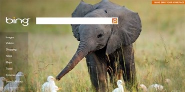 Bing homepage – now with video - The AI Blog