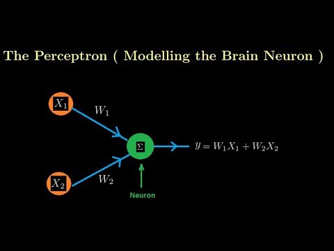 Lecture 02: Learn Deep Learning: The Perceptron (Inspiration from Brain Neuron)