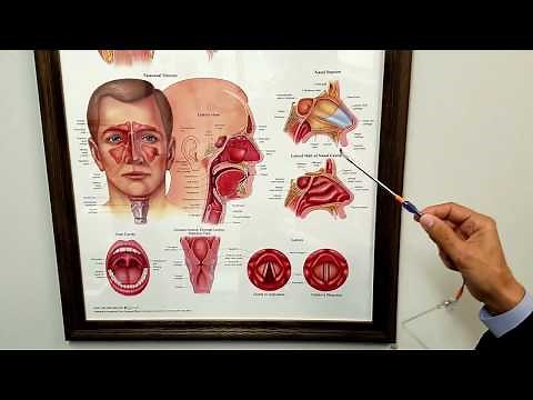 Eustachian Tube Dysfunction
