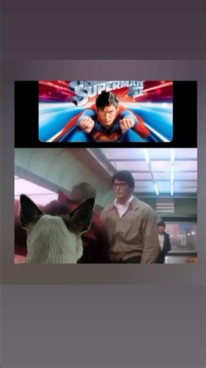 Superman II ( 1980) Clark Kent teaches Rocky some manners.