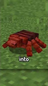 Mini Mod Reviews - Sleep Tight