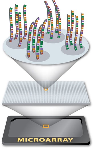 DNA Microarray