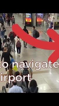 Arriving at the Delhi Airport: how to manage immigration, customs, baggage claim, and pick-up