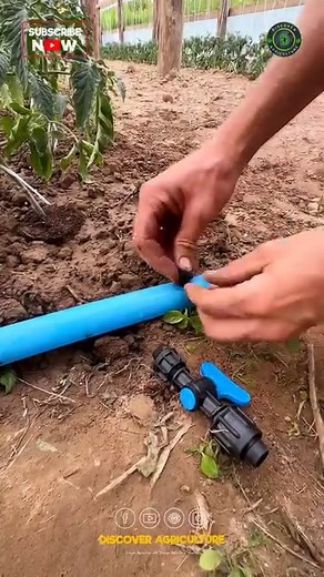 Ready to take your farming game to the next level? Look no further! Our Ultimate Guide to Installing a Drip Irrigation System is here to revolutionize the way you cultivate your crops. With our step-by-step installation tutorial, achieving maximum farming success has never been easier. Say goodbye to manual watering and hello to efficient irrigation that conserves water and boosts crop yields. Whether you're a seasoned farmer or just starting out, this guide will walk you through the process, en