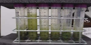 New cannabis testing lab begins the accreditation process