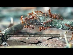 Ant Colony Optimization Algorithm