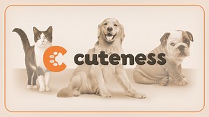 122 Dog Names Based On Crystals And Gemstones - Cuteness