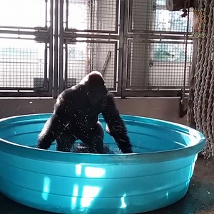 81K views · 1.7K reactions | SPLASH DANCE: Catch a sneak peak of...