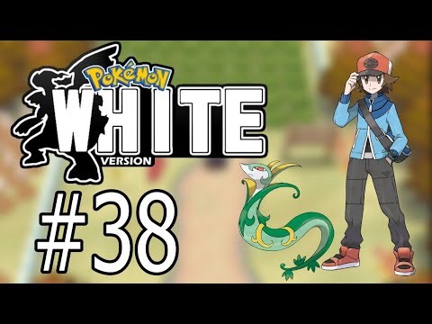 Pokemon White Detonado (649%) - Ficando RIco - #38