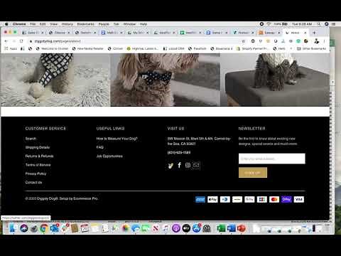 How to find email address in HTML using Inspect Element