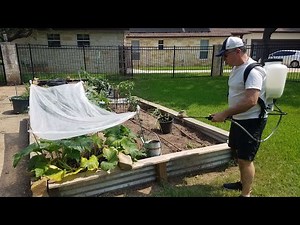 HDX Backpack Sprayer 4 Gallon