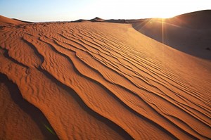 Alexithymia Guide: Therapy and Coaching for Alexithymia