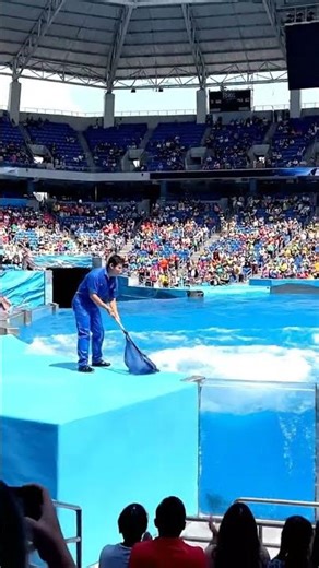 Orca Ruins Pool Cleaning Day!