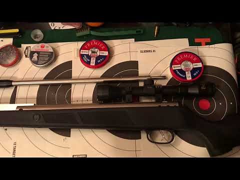 Beeman dual caliber air rifle review
