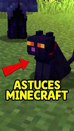 6 Astuces INCROYABLES sur Minecraft 🤩