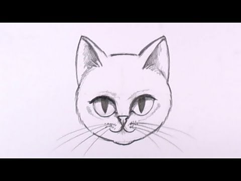 How to Draw a Cat Face in Pencil - Drawing Lesson - MAT