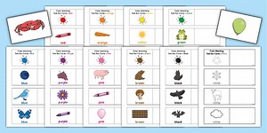 Color Matching Task Box Fine Motor and Visual Discrimination Cards Pack