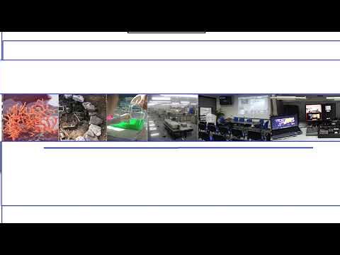 Nanoparticles for biological applications