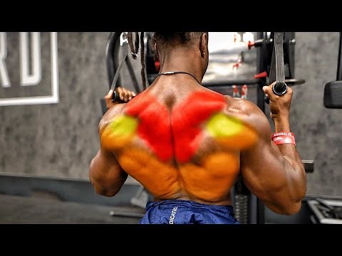 10 CABLE EXERCISES FOR A COBRA BACK